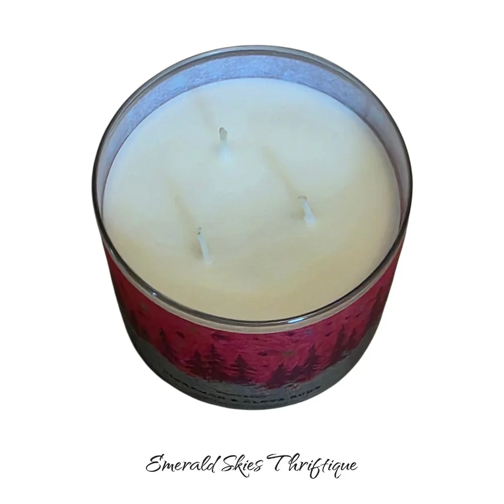 Bath & Body Works CINNAMON & CLOVE BUDS Wick Scented candle